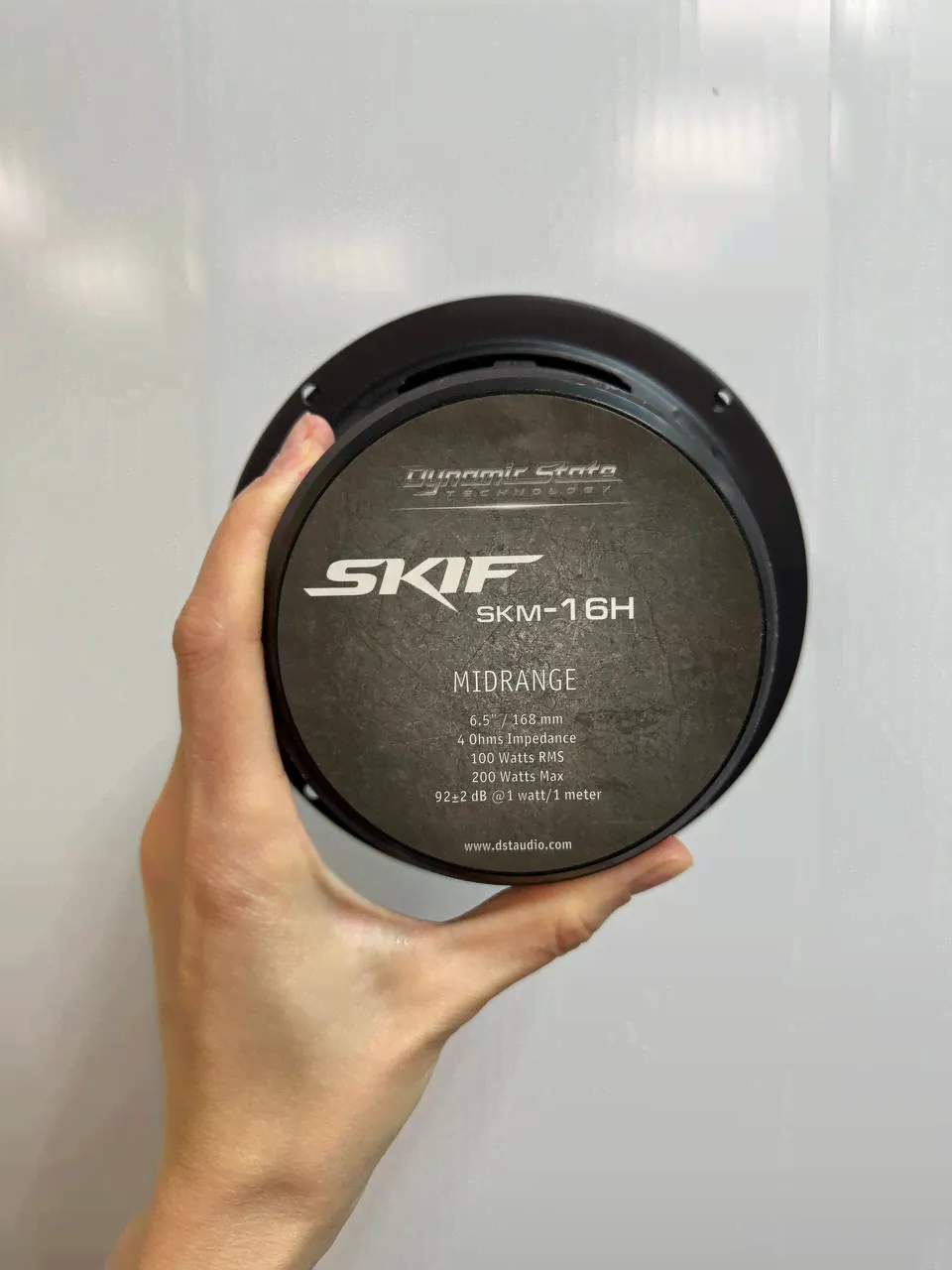 Динамики мидрейндж Dynamic State Skif SKM-16H-4
