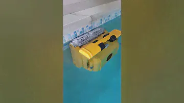 Dolphin Dynamic Prox 2 - video 5