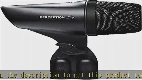 AKG Pro Audio P2 High-Performance Dynamic Bass Microphone, Black