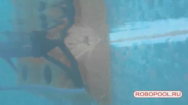 Dolphin 2x2 Pro Gyro