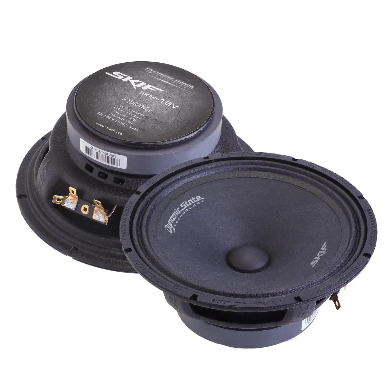 акустика Dynamic State SKIF SKM-16V-0