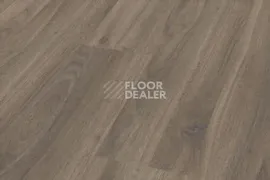 Ламинат Kronotex Dynamic Plus D4757 Canyon Authentic Walnut