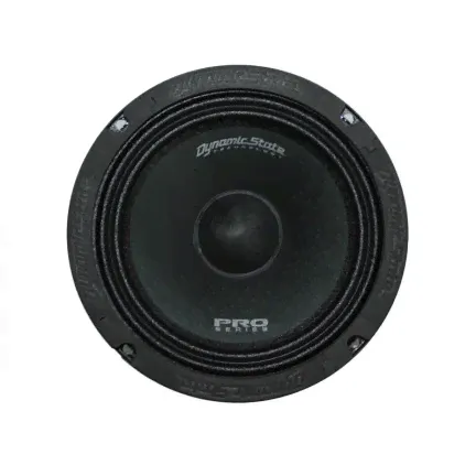 Dynamic State PM-165.1 Pro Series эстрадная акустика от ReLoud-0