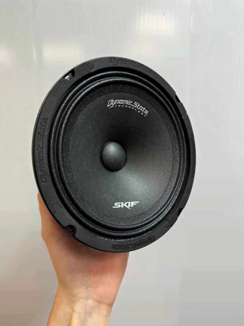 Динамики мидрейндж Dynamic State Skif SKM-16H-0