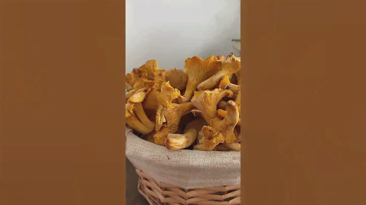 Сушилка как член семьи ☺️🏡  Читайте советы по использованию сушилки в комментариях 💬