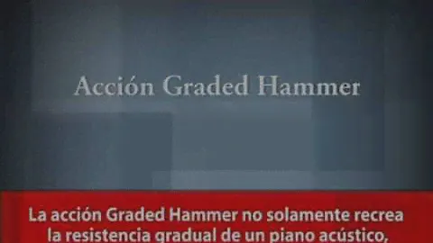 Mastery of Feel - Graded Hammer Action